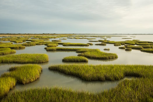 Credit: Jerod Foster for The Nature Conservancy